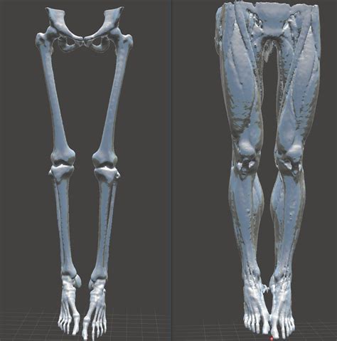 How to Easily and Automatically Convert a CT Scan .